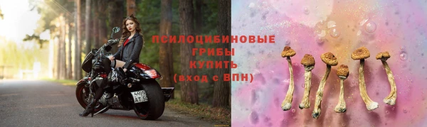 спайс Майский