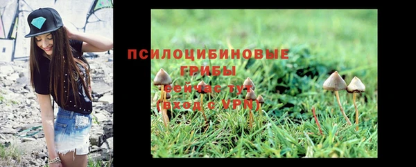 спайс Майский